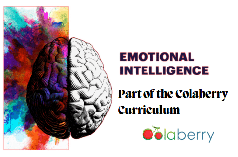 colaberry-emotional-intelligence